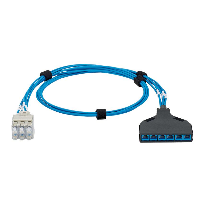 Panduit QPCSDBRSB07 QuickNet™ Switch Harness
