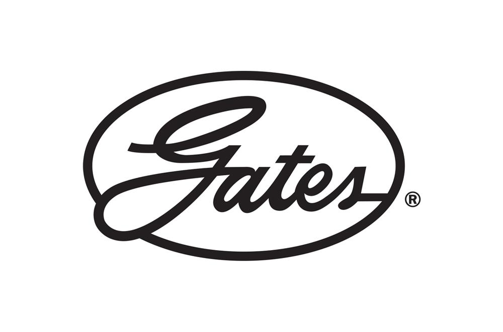 Gates 42152 Water Pumps (Standard, Heavy-Duty, Performance) Automotive Water Pumps, 42152 WATER PUMP