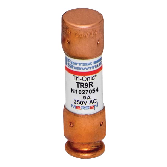 TR9R Part Image. Manufactured by Mersen.