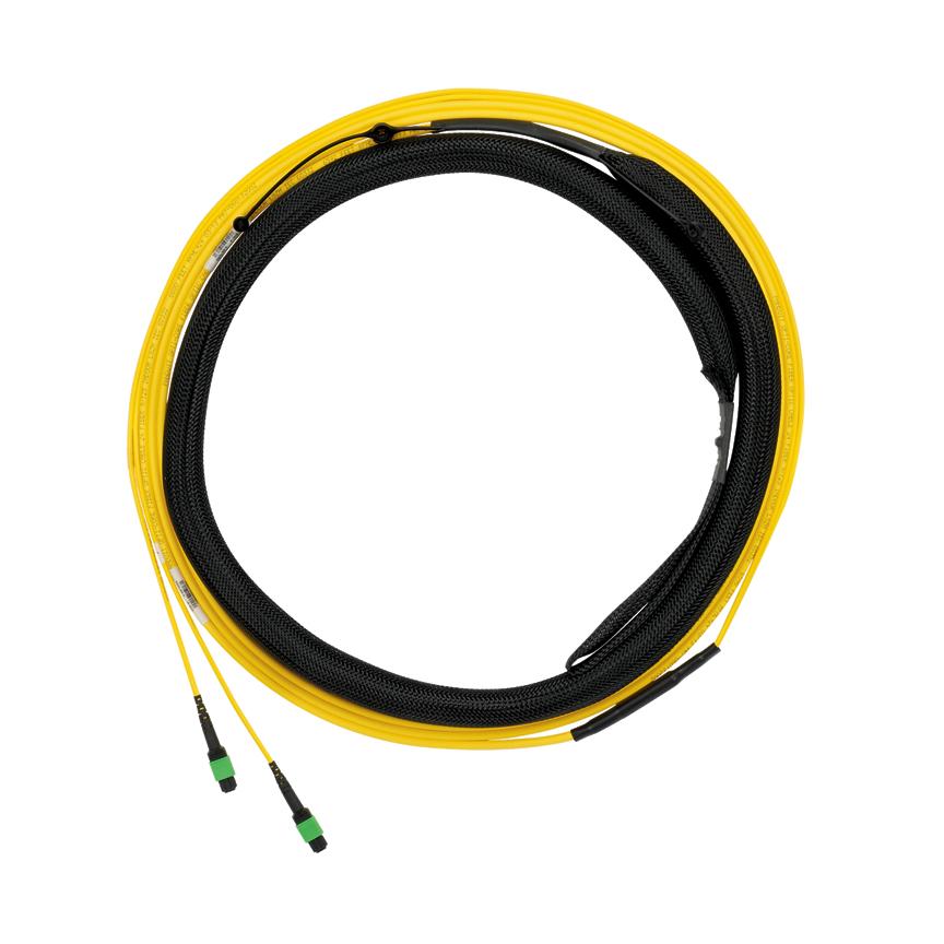 Panduit FY9TB77B001M005 HD Flex™ Fiber Optic Trunk Cable Assembly