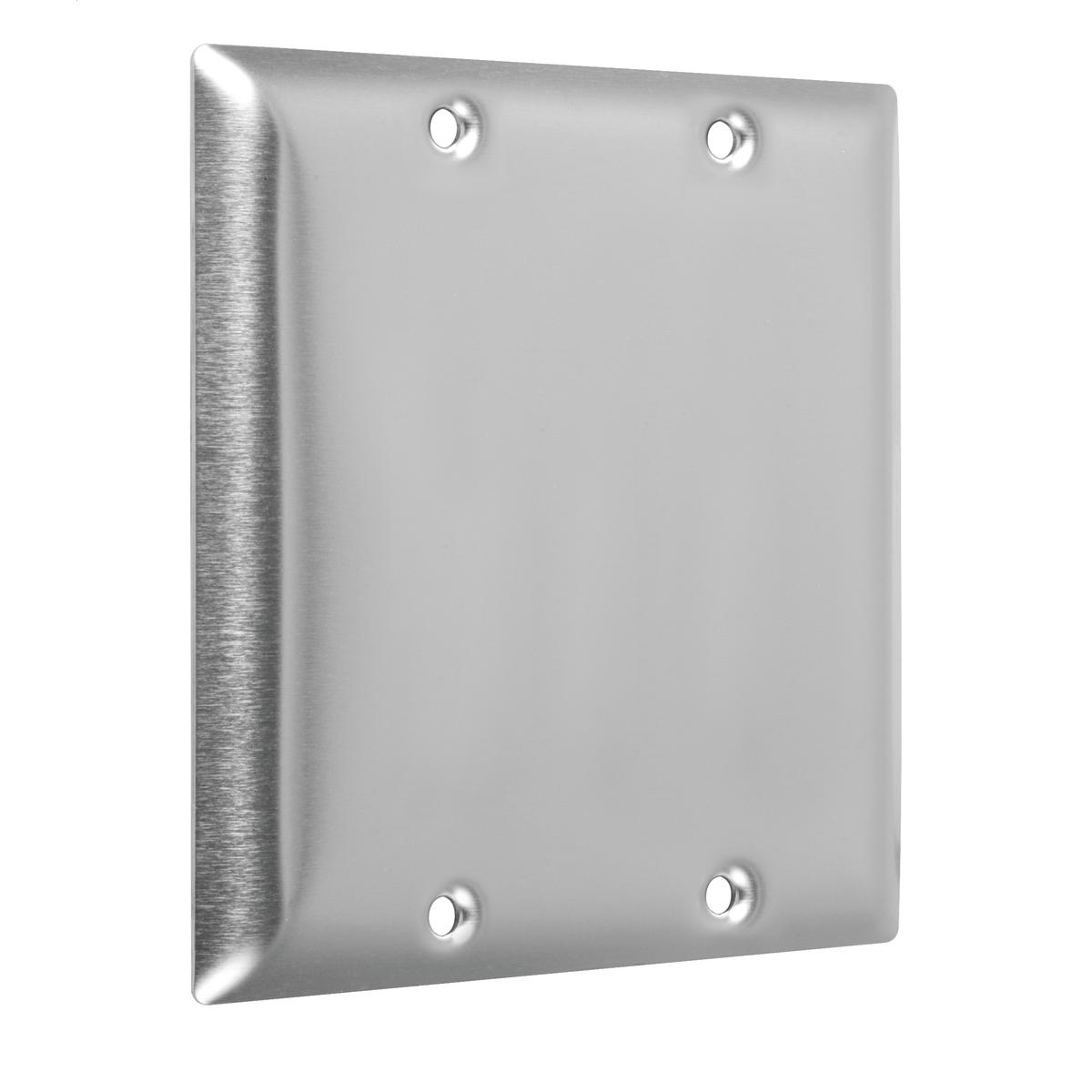 Hubbell WSS-BB 2-Gang Metal Wallplate, Standard, 2-Blank, Stainless Steel  ; Easily primed and painted to match or complement walls. ; Won't bow, crack or distort during installation. ; Premium North American powder coat. ; Includes screw(s) in matching finish.