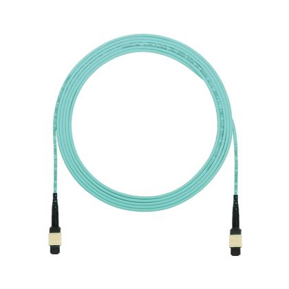 Panduit FXTRP6N6NANF080 QuickNet Interconnect Cable Assembly